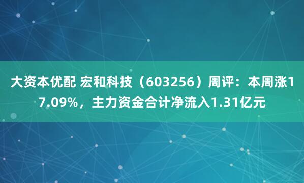 大资本优配 宏和科技（603256）周评：本周涨17.09%，主力资金合计净流入1.31亿元