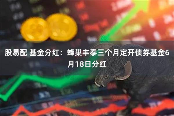 股易配 基金分红:蜂巢丰泰三个月定开债券基金6月18日分红