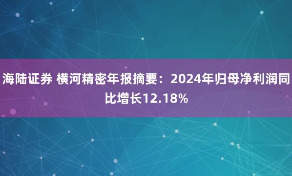 海陆证券 横河精密年报摘要：2024年归母净利润同比增长12.18%